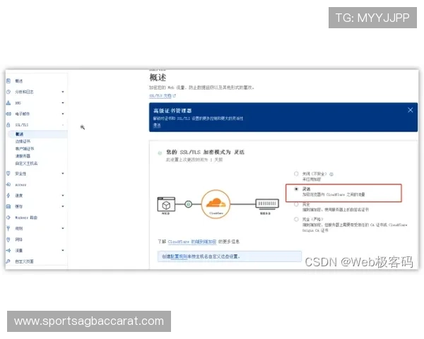 如何安全访问BG视讯登录网址官网，保障个人信息与资金安全的实用技巧